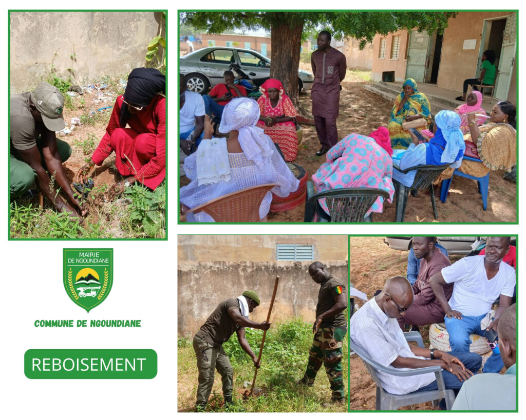 🌱 Un acte citoyen et exemplaire pour un avenir durable