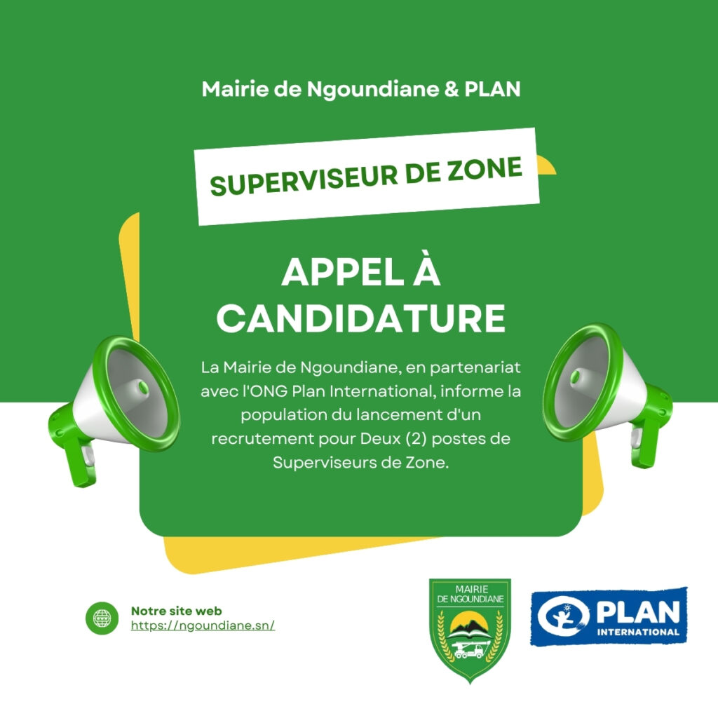 Appel à Candidature (Mairie de Ngoundiane & Plan International)